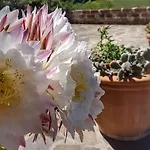 Sonnellino In Maremma Gospodarstwo agroturystyczne Massa Marittima