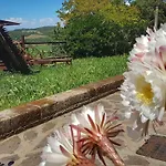 Sonnellino In Maremma *