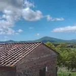 Sonnellino In Maremma Gospodarstwo agroturystyczne *
