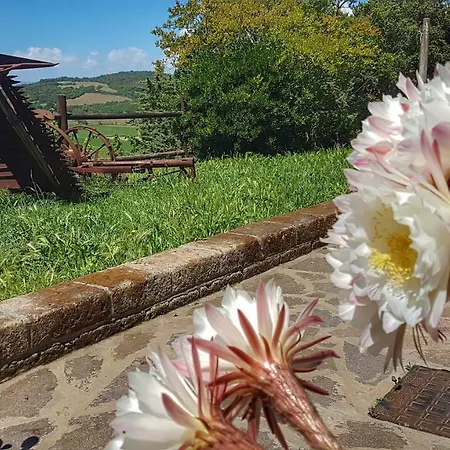 Sonnellino In Maremma *